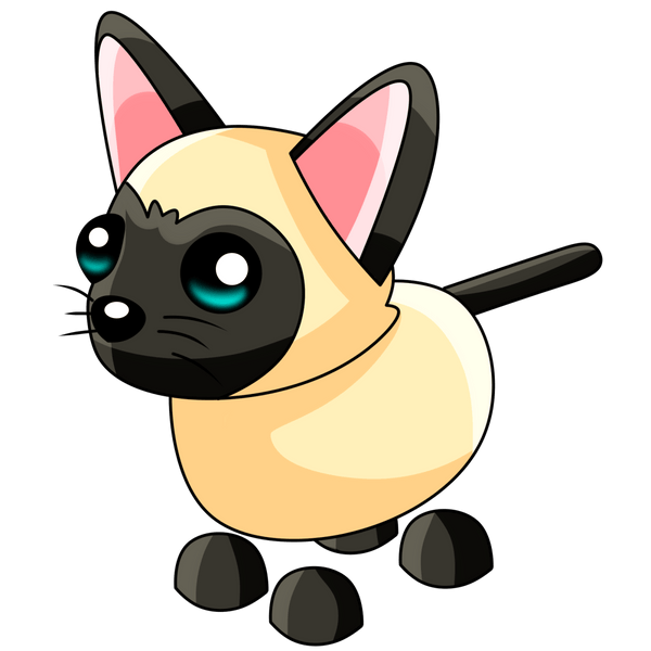 Siamese Cat